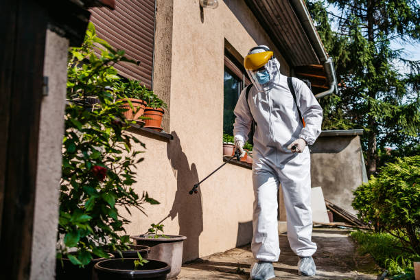 Best Mosquito Control Services  in Bremen, OH