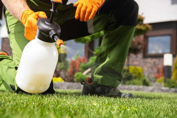 Best Rat Extermination Near Me  in Bremen, OH