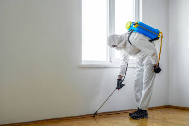 Best Emergency Pest Control  in Bremen, OH