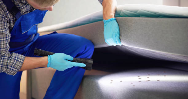 Best Affordable Pest Control Services  in Bremen, OH
