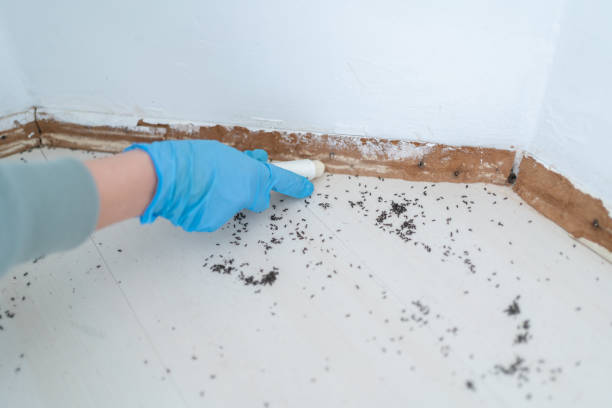 Best Pest Removal Services  in Bremen, OH